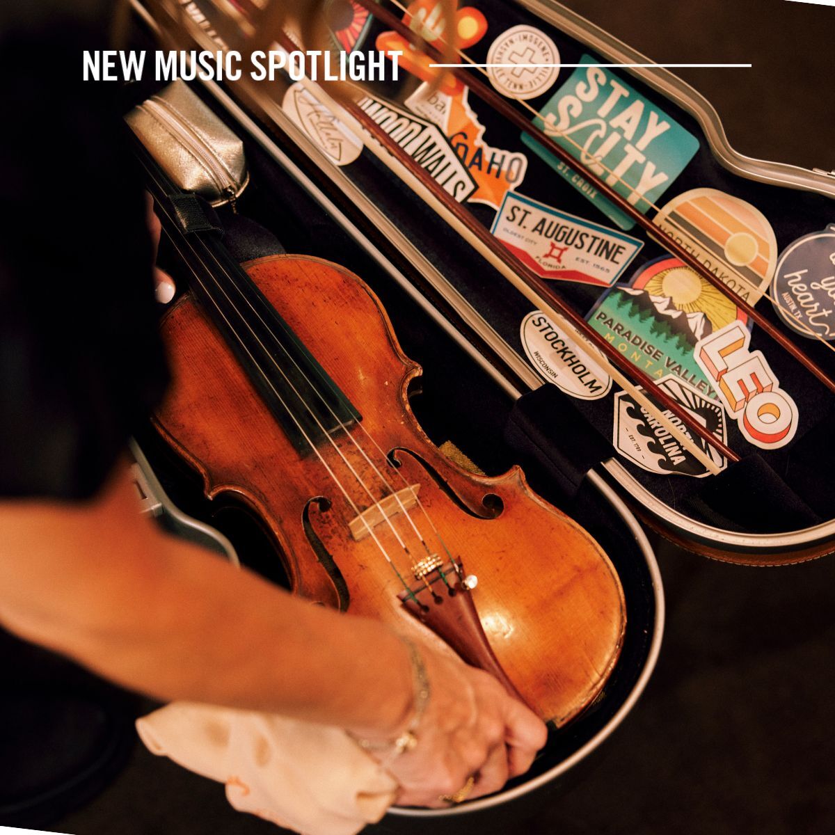 New Music Spotlight