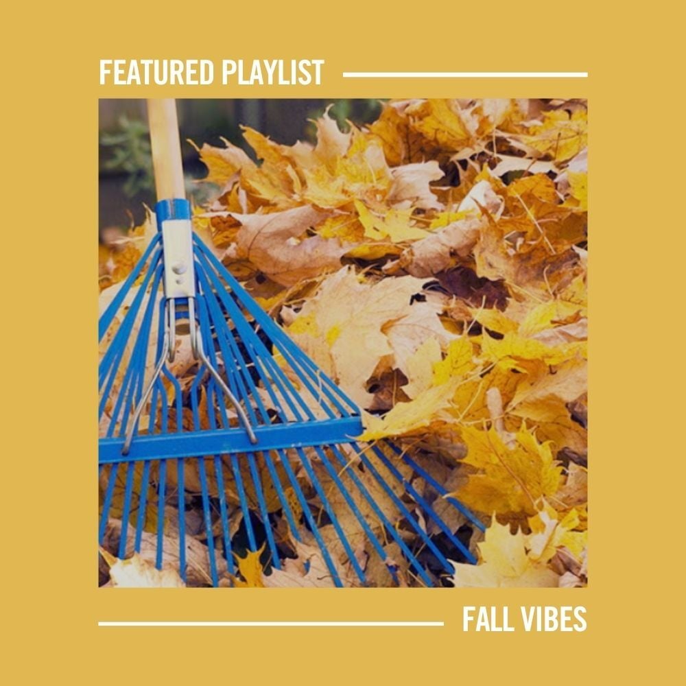 Fall Vibes Playlist (1000 x 1000 px)