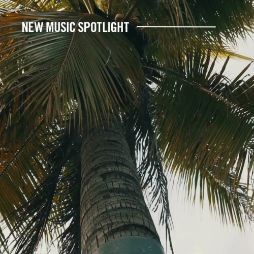 NEW MUSIC SPOTLIGHT_February 2026 (500 x 500 px)